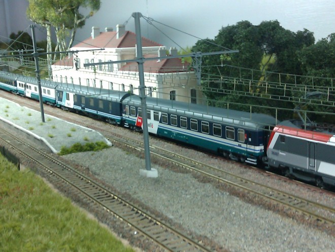 IMAG1078.jpg