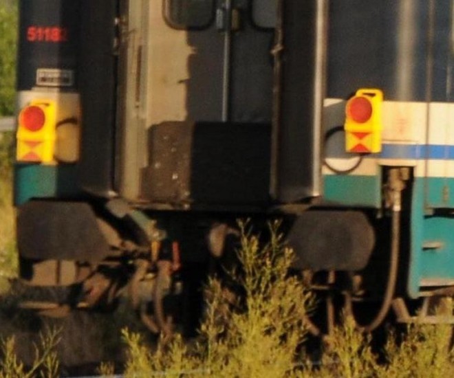 DSC_08.jpg