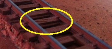 10488111_10201747117111547_1865088531901105178_n.jpg