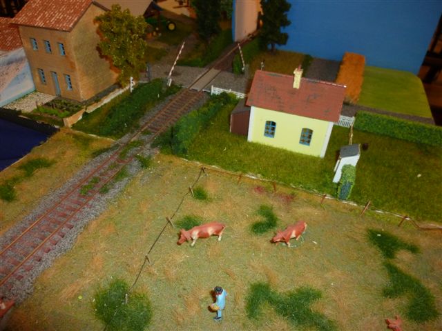 P1050088.JPG