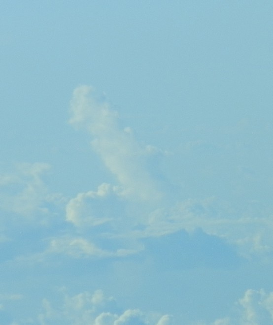 PB260076.JPG
