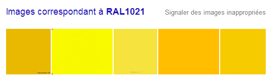 RAL1021 - Recherche Google.png