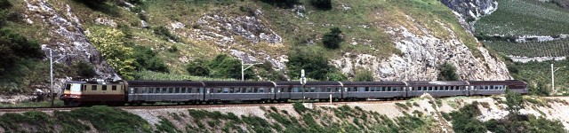 B24 -  Re 44 II TEE et Cisalpin vers Sierre.jpg