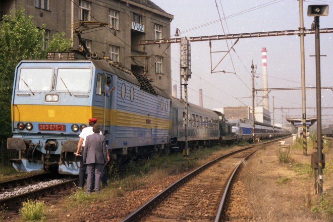 img013.jpg