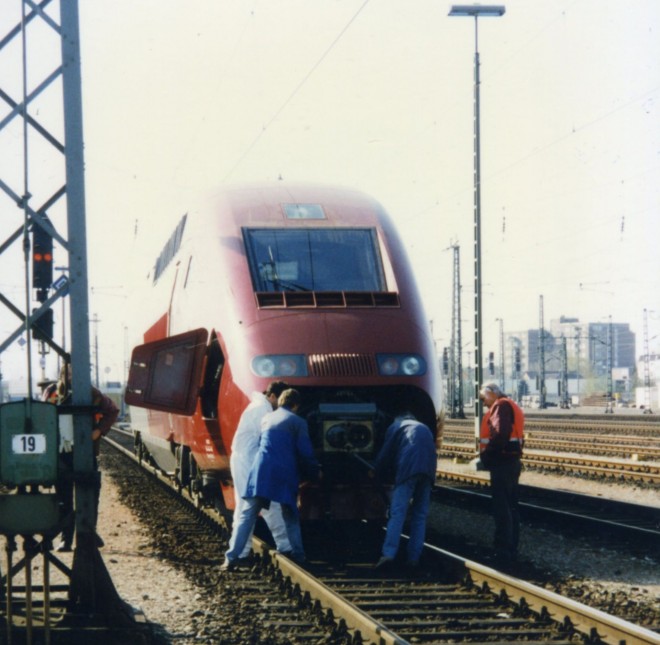 img339.jpg