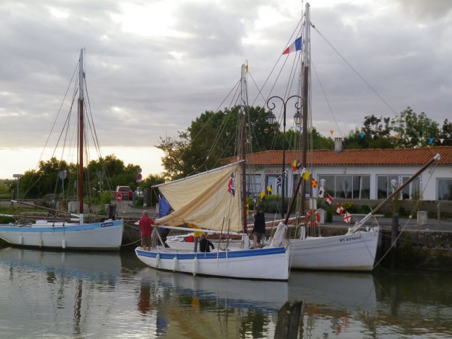 IMGP3113s.jpg