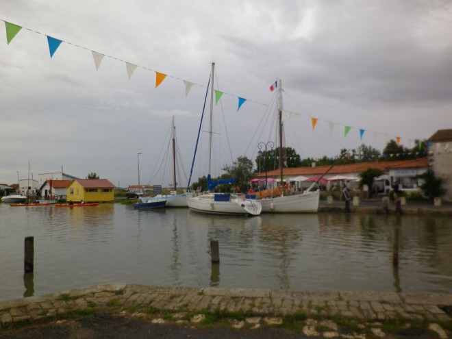 IMGP3120s.jpg