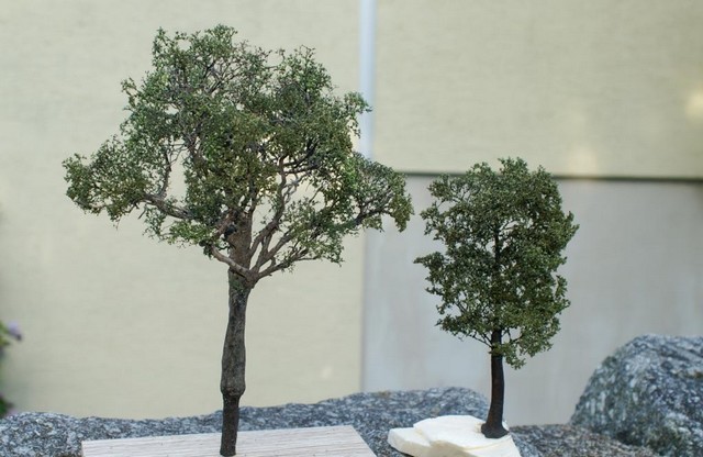 PICT0002a.JPG