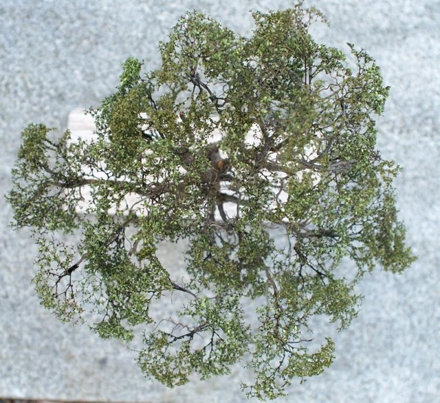 PICT0003a.JPG