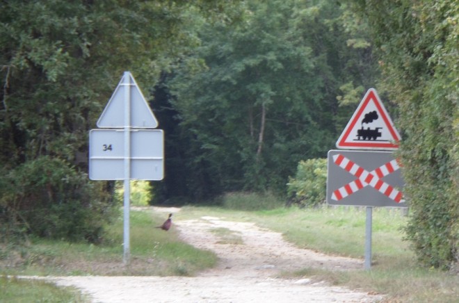 01.JPG