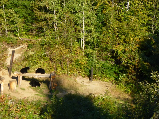 P1010422.JPG