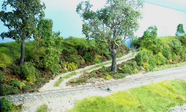 PICT0010a.JPG