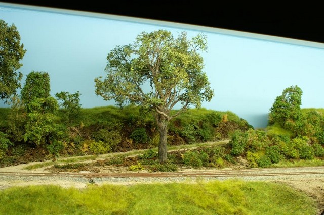PICT0022a.JPG