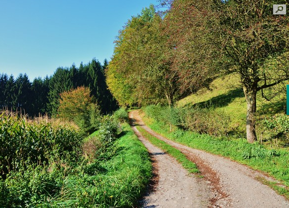 Chemin de campagne par aldo bertotti sur L'Internaute.png