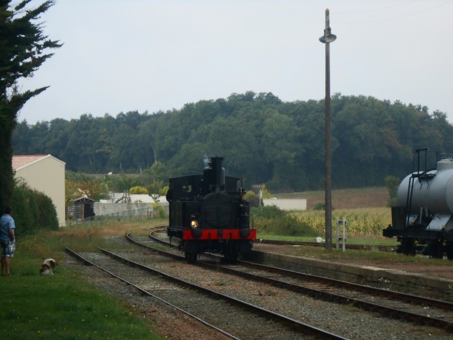 DSCN1900.JPG