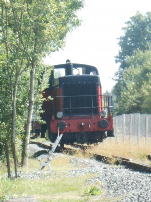 DSCN1911.JPG