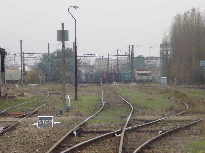DSC04221.JPG