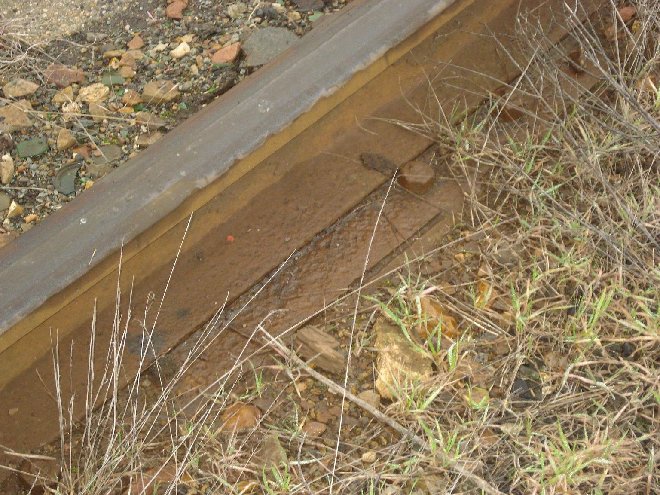 DSC04222.JPG