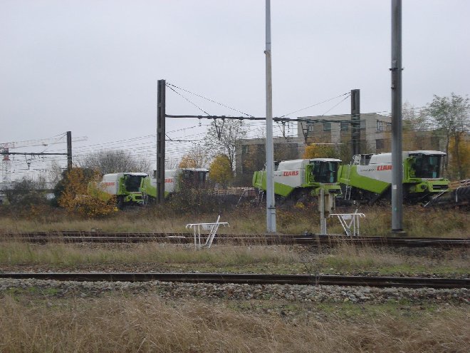 DSC04227.JPG