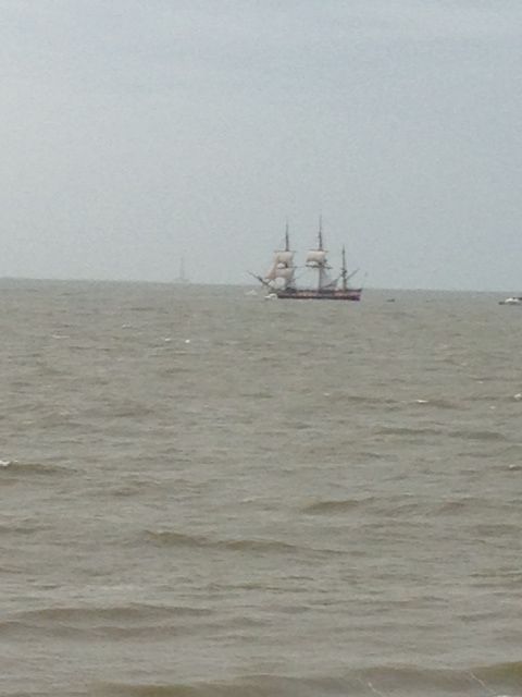 HERMIONE 2014-10-07.jpg