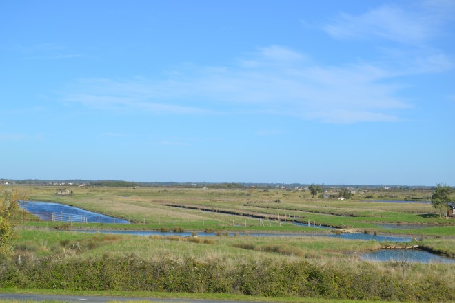 DSC_0381.JPG