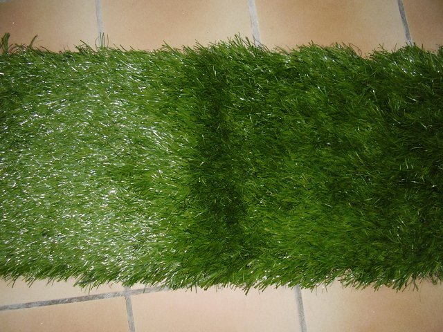 P1010001.jpg