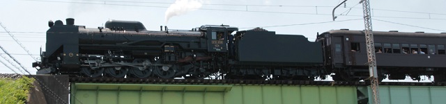 D51_SL.jpg