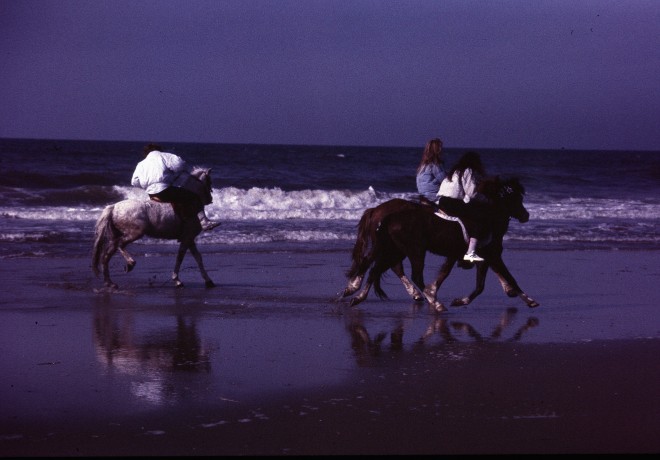 1985 D26 E03 - La Haye (85 04 11).jpg