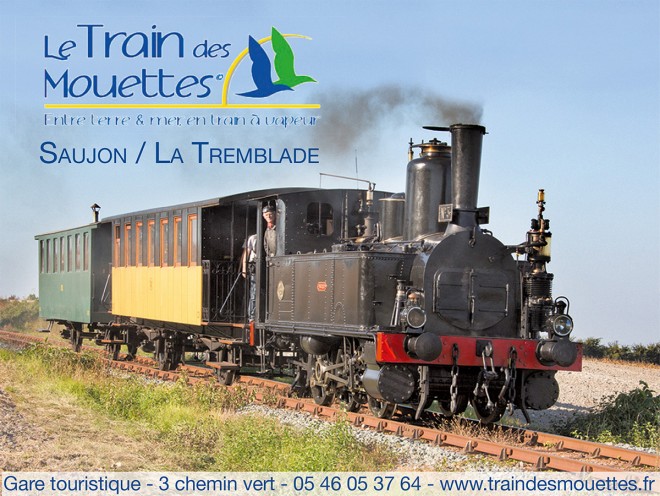 Cours photo - Le train des mouettes (2).jpg