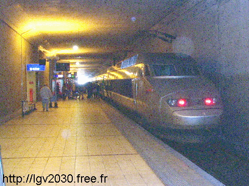 massy1.jpg