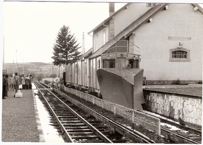 ScannedImage-6.jpg
