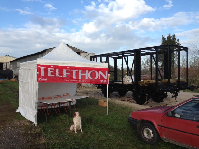 Téléthon 2014.jpg