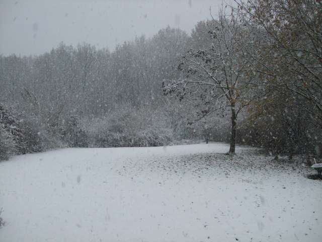 Jardin 005_PhotoRedukto.jpg
