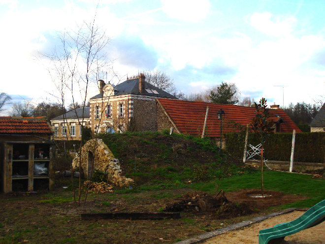 bouleau et magnolia grandiflora.jpg