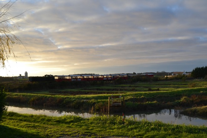 DSC_0135.JPG