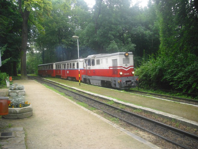 CIMG5222.JPG