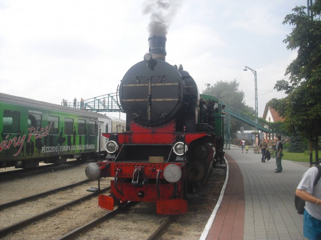 CIMG6205.JPG