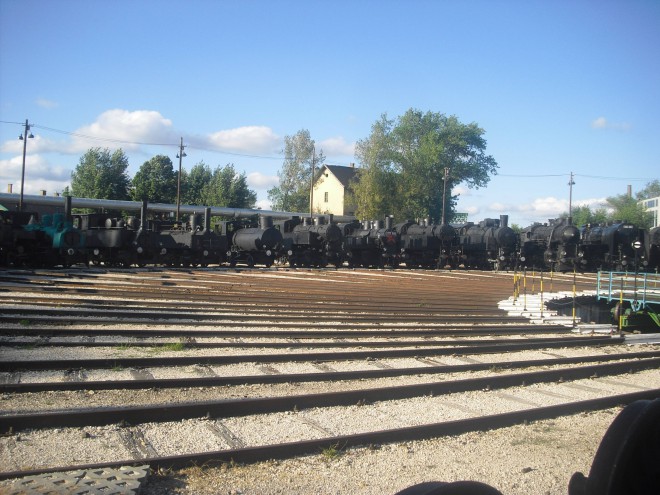 CIMG6434.JPG
