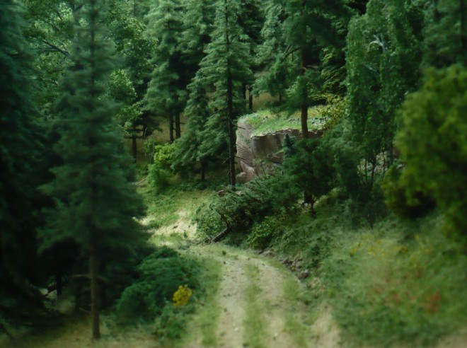 P1050833.JPG