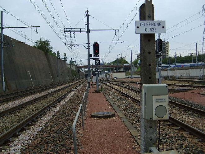 S6000138.JPG