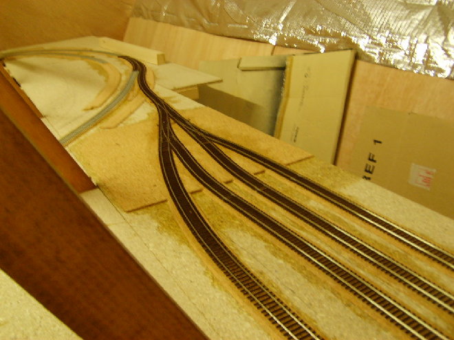 S6001876.JPG