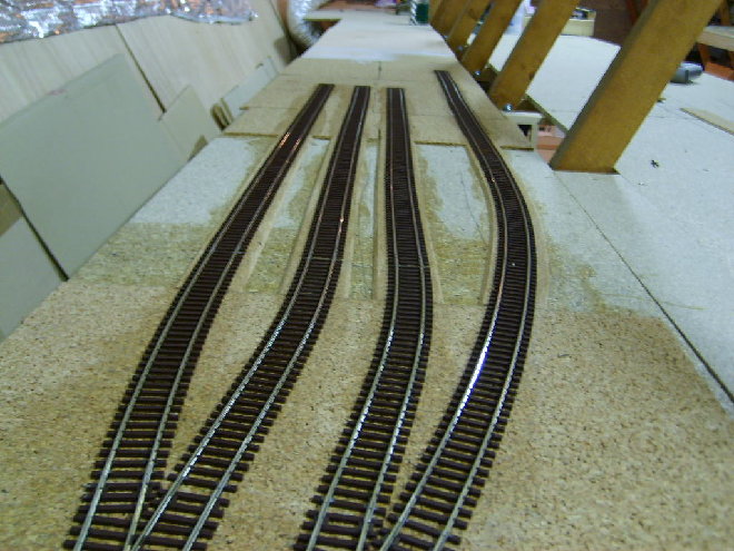 S6001877.JPG