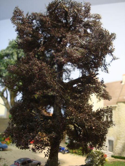 DSC09263.jpg