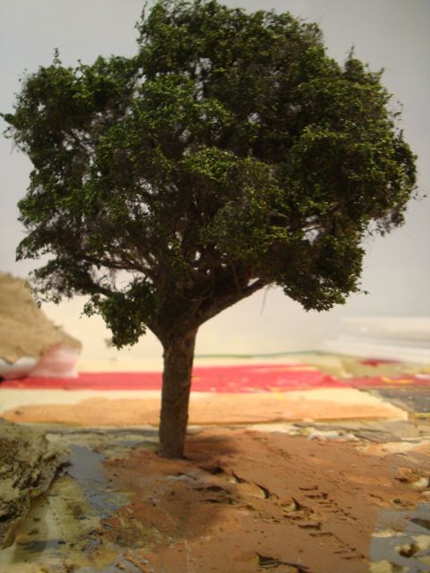 DSC09260.jpg