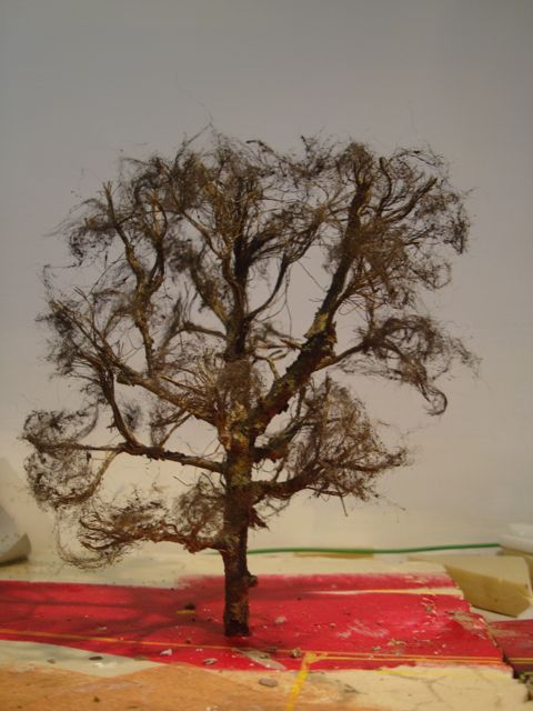 DSC09258.jpg