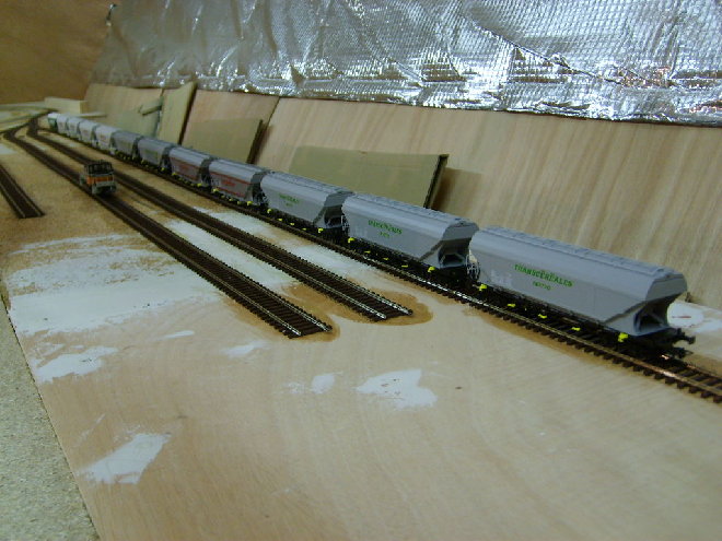 S6001889.JPG