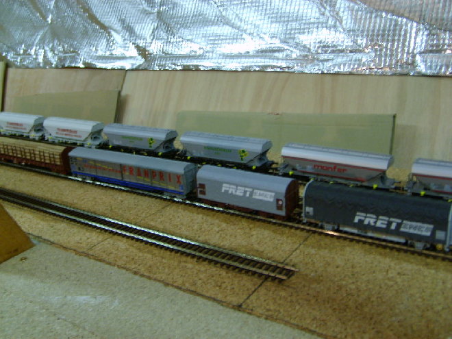 S6001893.JPG