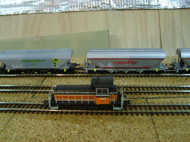 S6001890.JPG