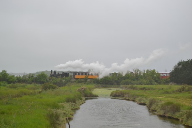 DSC_0067.JPG