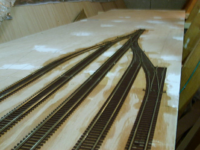 S6001918.JPG